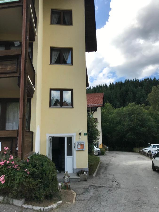 Apartamento Eisenstein Bayerisch Eisenstein Exterior foto